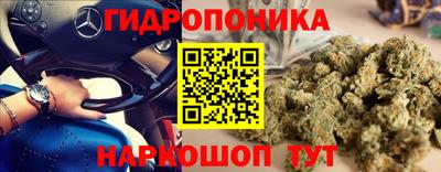 PSILOCYBIN Бузулук