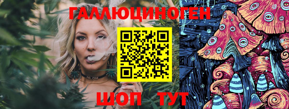 Приморско-Ахтарск  Галлюциногенные грибы Cubensis  как найти   Галлюциногенные грибы прущие грибы  Вход с VPN 