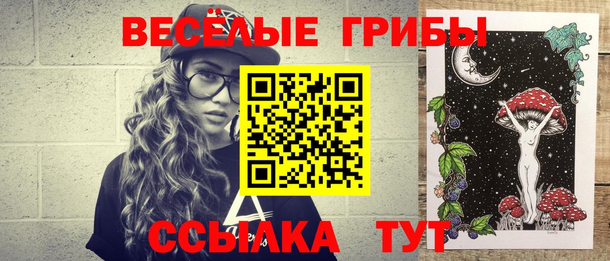 Псилоцибиновые грибы Cubensis Приморско-Ахтарск